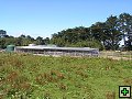 thn_NZ leden-unor 2006 102.jpg